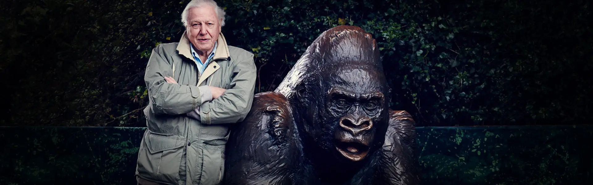 Natural Curiosities season 04